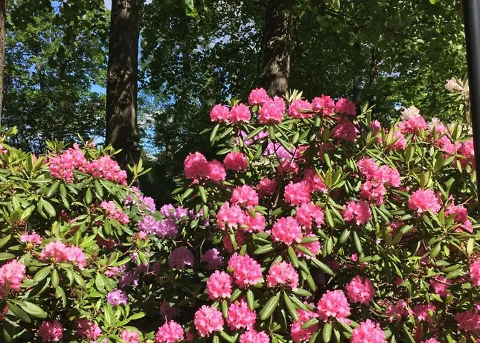 Hotell Kartanohotelli Karhulan Hovi 3*